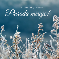 GreenWay Tour 2Parks